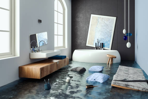 Best Mold removal after water damage  in West Islip, NY