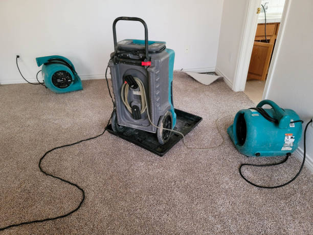 Best Ceiling water damage repair  in West Islip, NY