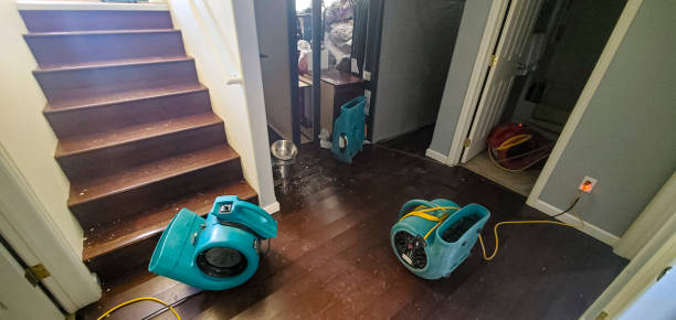 Best Water damage contractors near me  in West Islip, NY