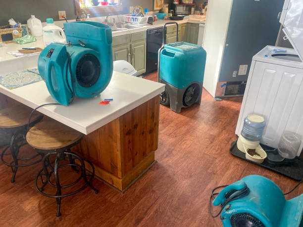 Best Ceiling water damage repair  in West Islip, NY