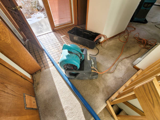 Best Commercial water damage restoration  in West Islip, NY