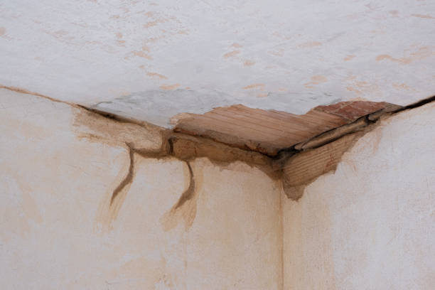 Best Water damage cleanup near me  in West Islip, NY
