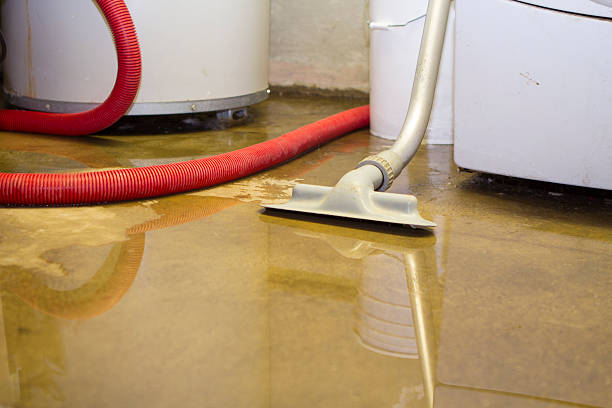 Best Local water damage restoration  in West Islip, NY