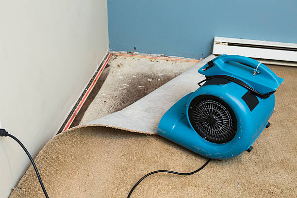 Best Emergency water damage restoration  in West Islip, NY